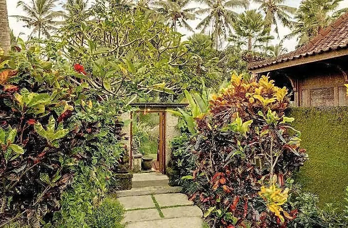 Keraman Ubud Lodge Kelusa
