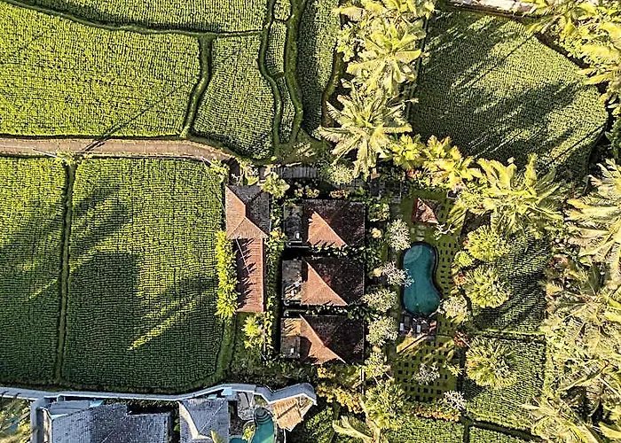 Lodge Keraman Ubud Kelusa